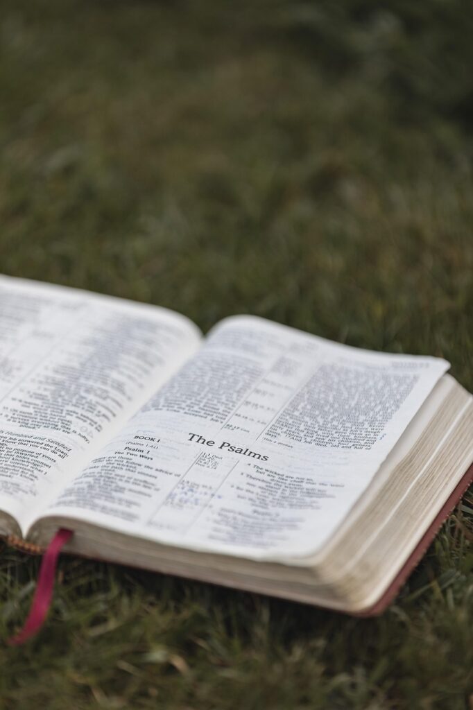 bible, christianity, religion, bible study, bible verse, bible reading, book, pages, christian bible, god, grass, christian symbol, word of god, scripture, holy, christian background, bible, nature, bible, bible, bible, bible